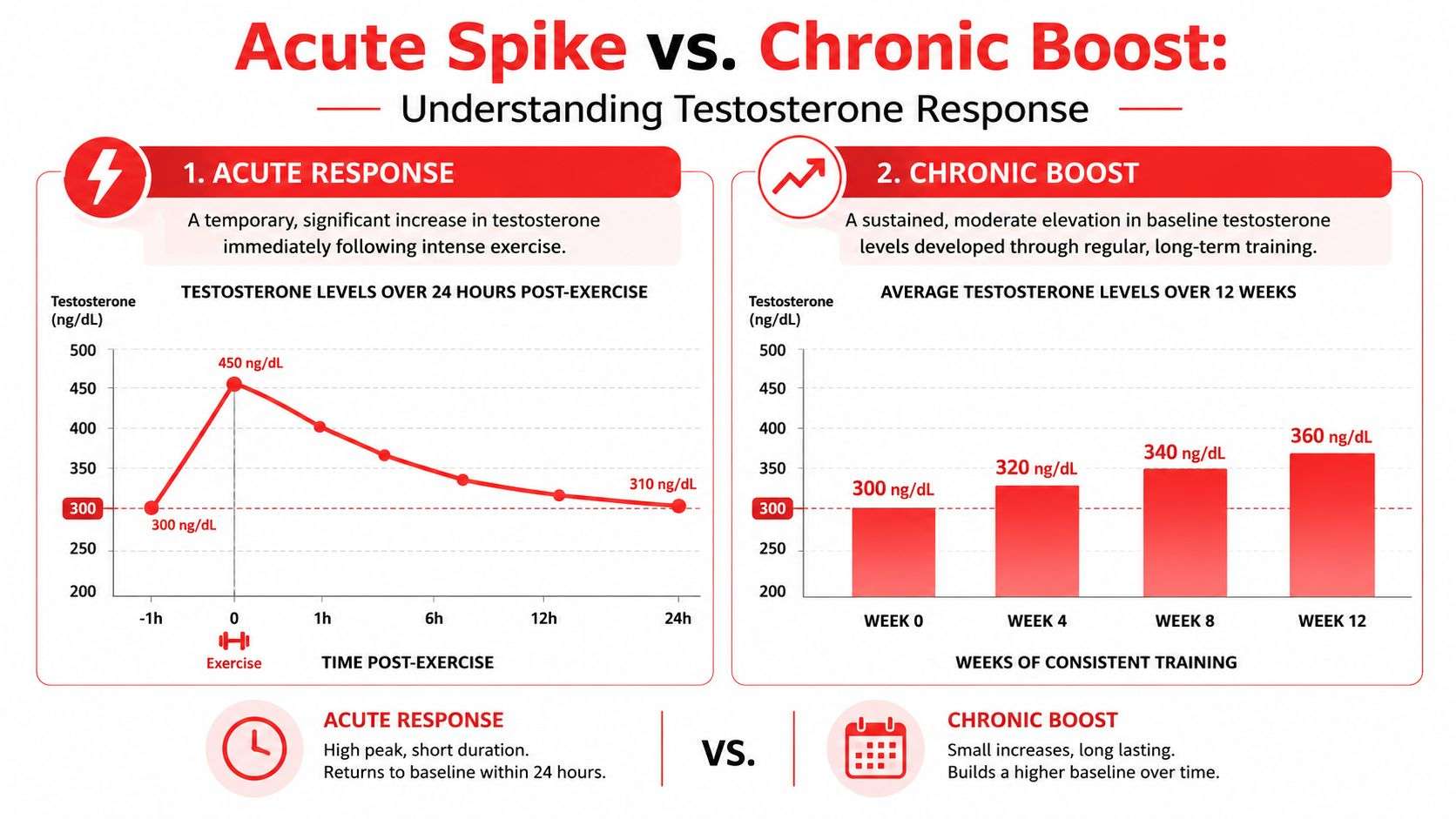 A comparison chart showing the difference between an acute testosterone spike from exercise and a chronic training boost.
