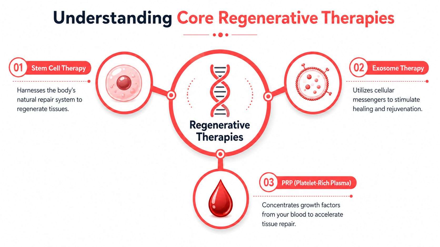 An infographic titled Understanding Core Regenerative Therapies showing stem cells, exosome therapy, and platelet-rich plasma treatments.