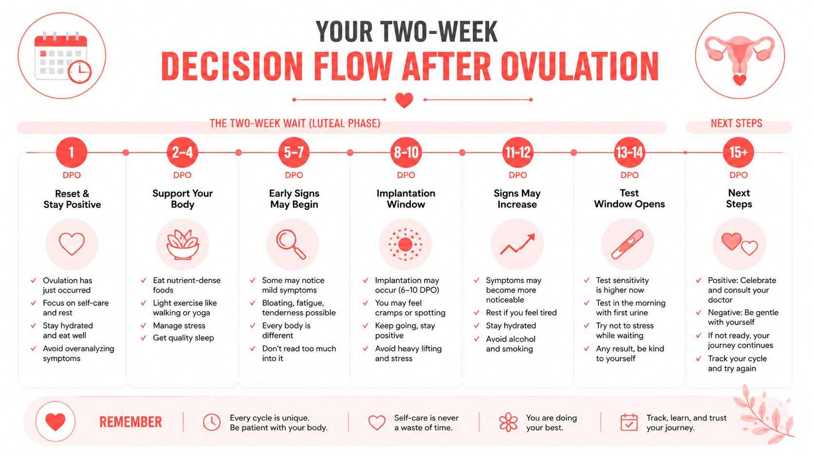 A helpful infographic showing a two-week decision flow timeline after ovulation, offering advice for each phase.