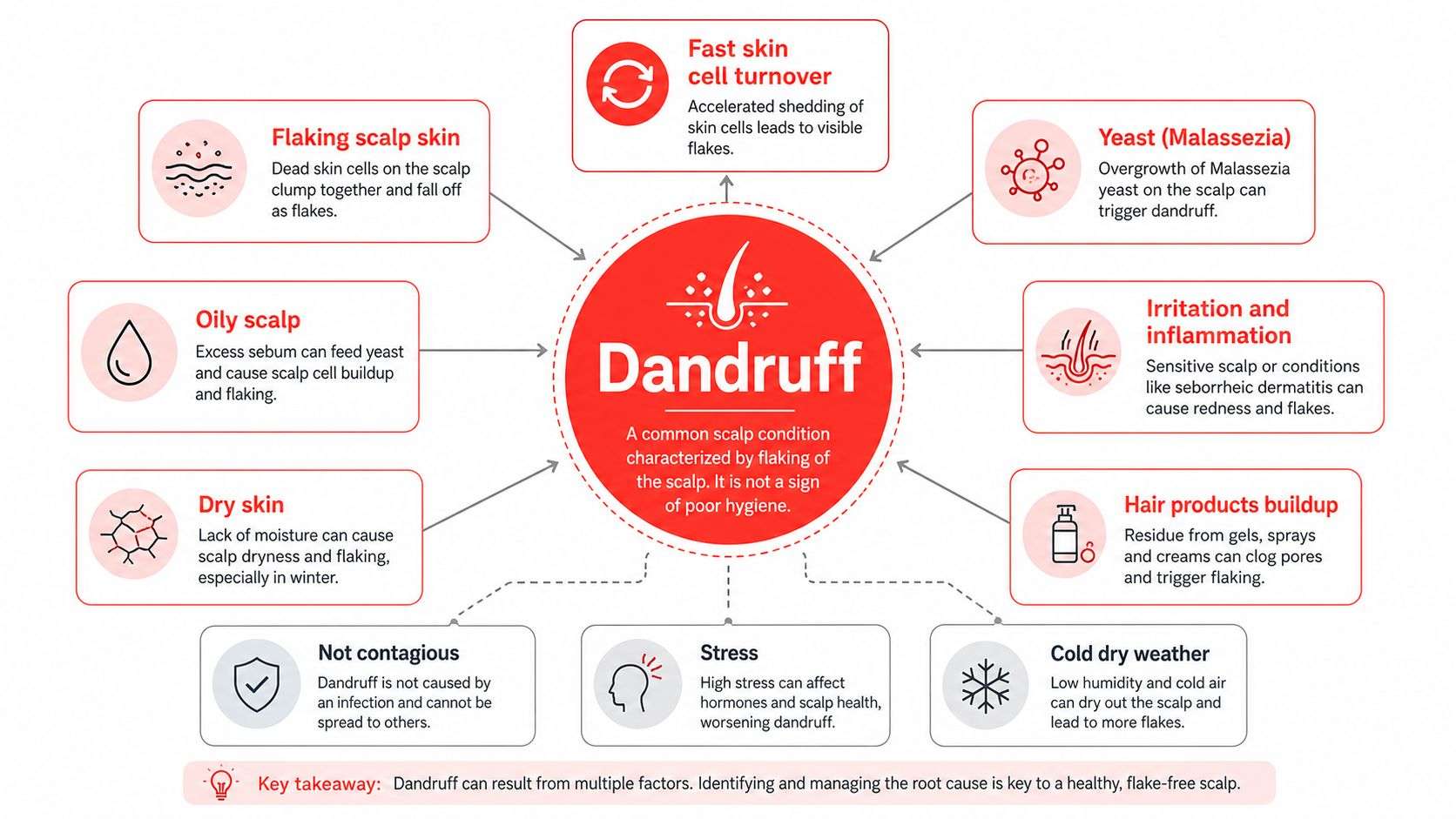 An infographic explaining the various causes and common factors associated with developing dandruff on the scalp.